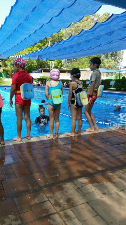 בריכת הכיופית בריכת הכיופית