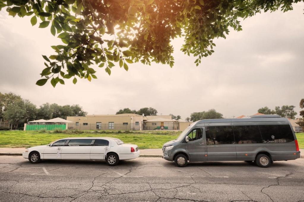 רן לימוזין רן לימוזין