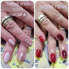 מיס בוניטה