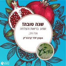 יאיר קרבצ'יק yspa