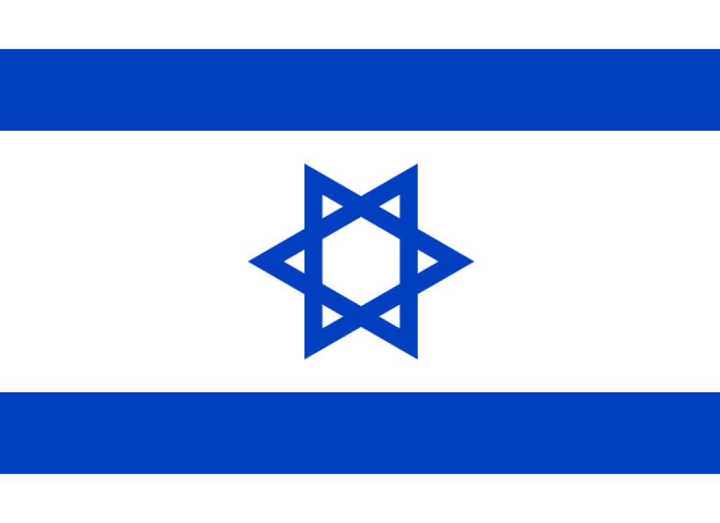 ארטיקים בסיטונאות ארטיקים בסיטונאות