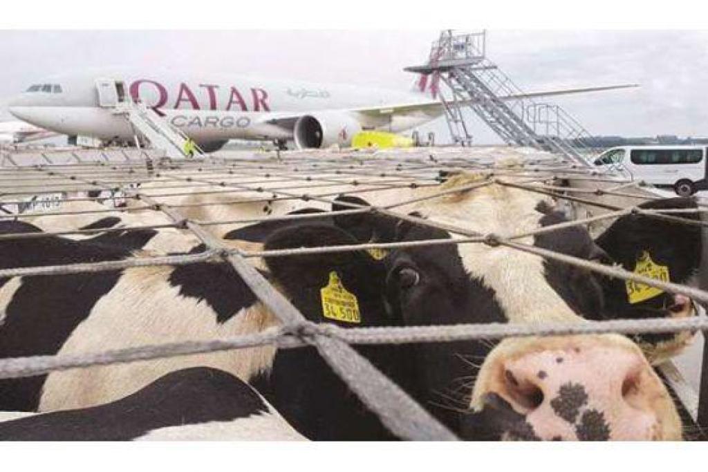 יגאל שגיא מומחה לביטוח יגאל שגיא מומחה לביטוח