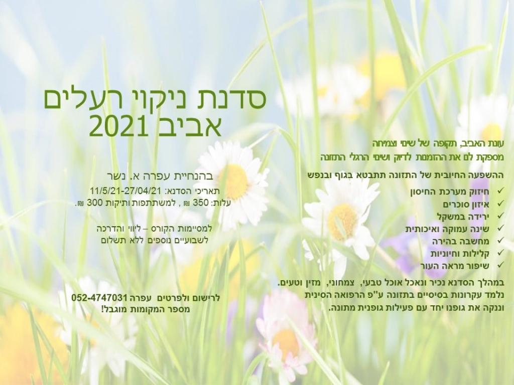 עפרה רפואה סינית עפרה רפואה סינית