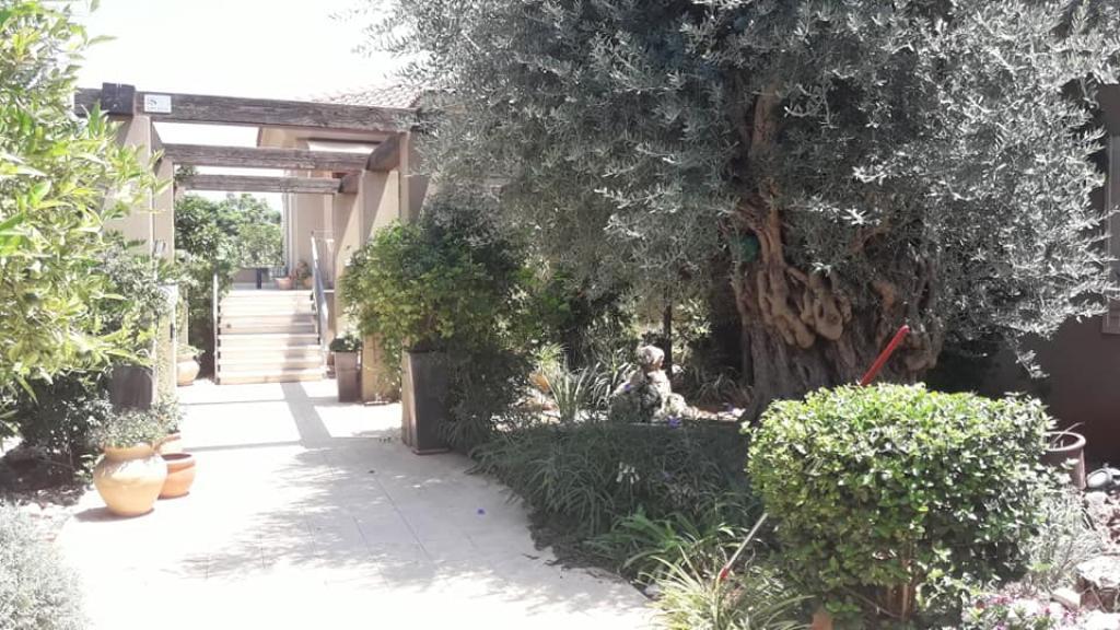 גדעון גינון גדעון גינון