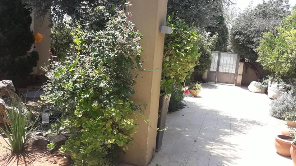 גדעון גינון גדעון גינון