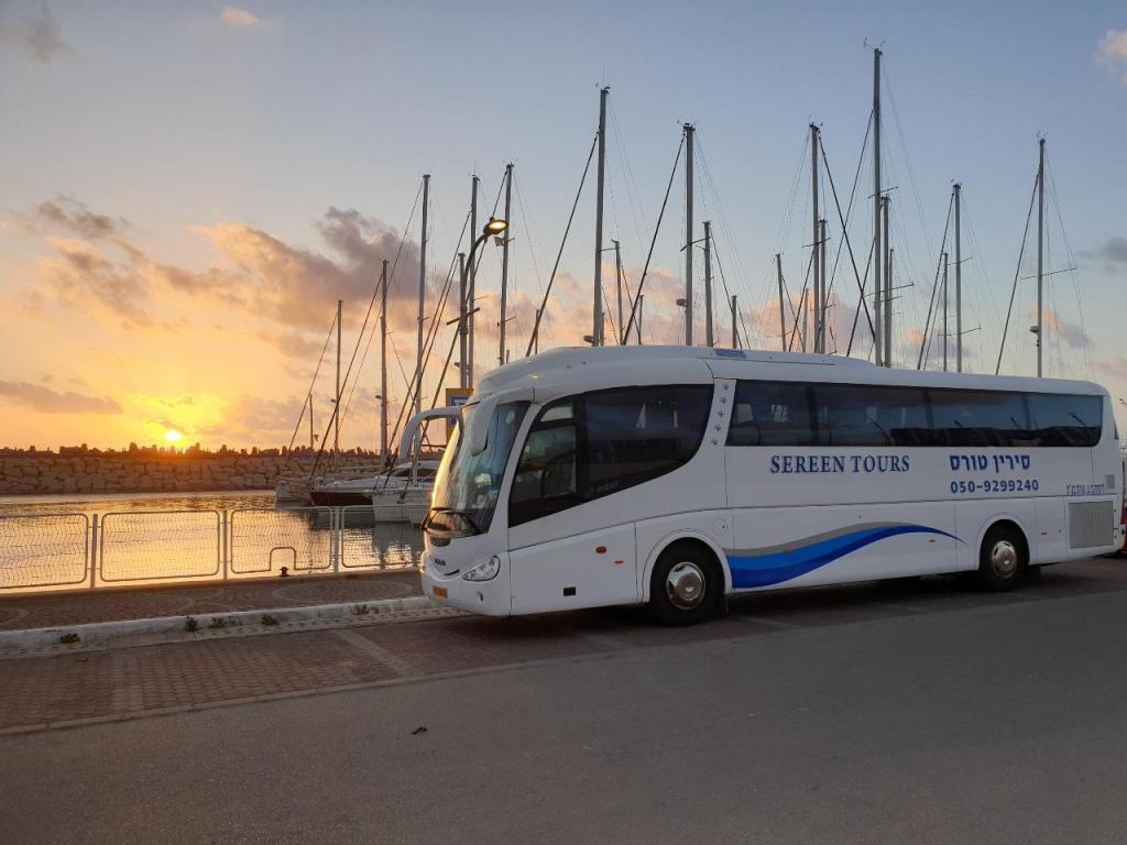 סירין טורס סירין טורס