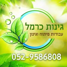 גינות כרמל