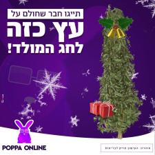 פופה טבקו