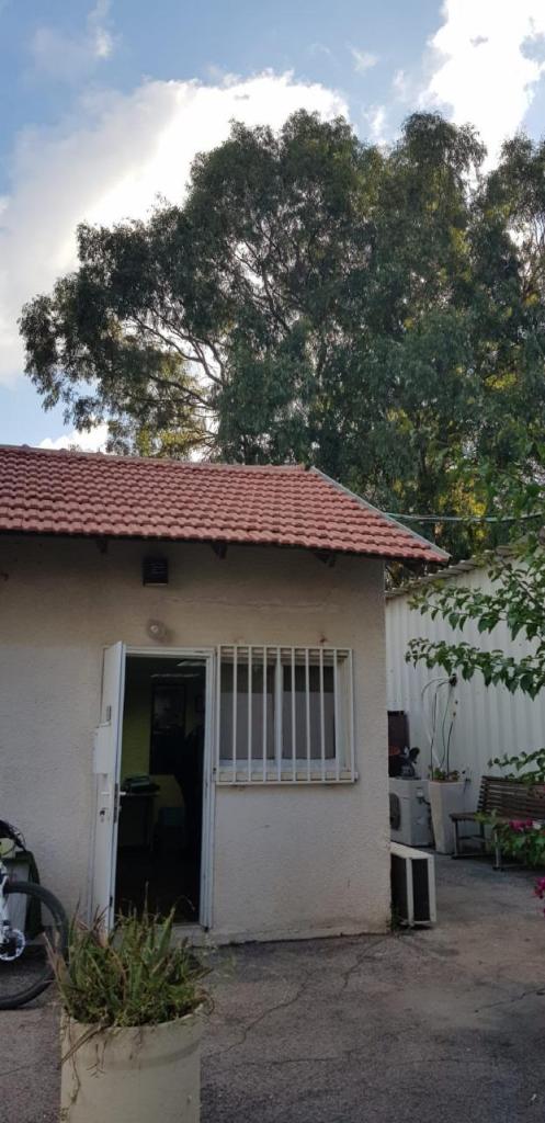 ד"ר בר נחום מטפל cbt bf ד"ר בר נחום מטפל cbt bf