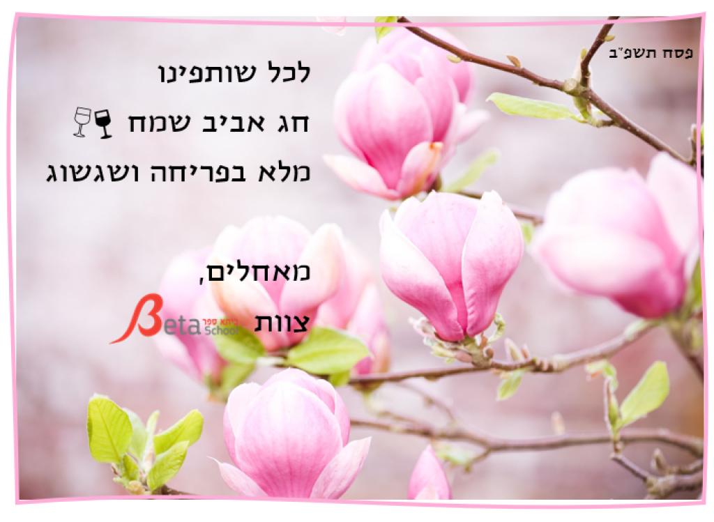 חיפוש Betaספר חיפוש Betaספר