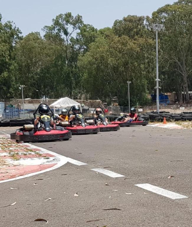 קארטינג ישראל קארטינג ישראל