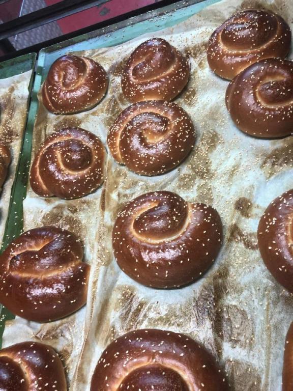 שיווק טוקאן שיווק טוקאן