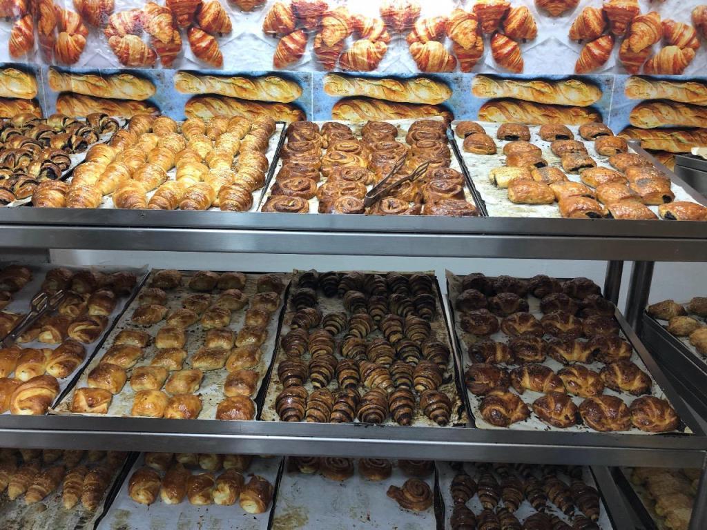 שיווק טוקאן שיווק טוקאן