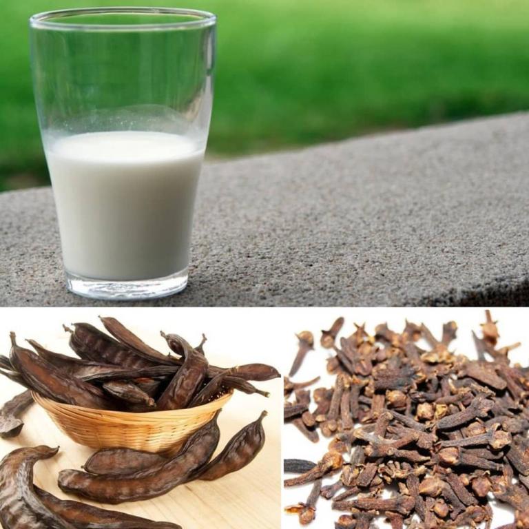 Noa's Nature Noa's Nature