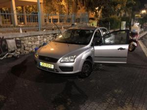 אריה דעי