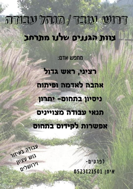 איתן הגנן איתן הגנן