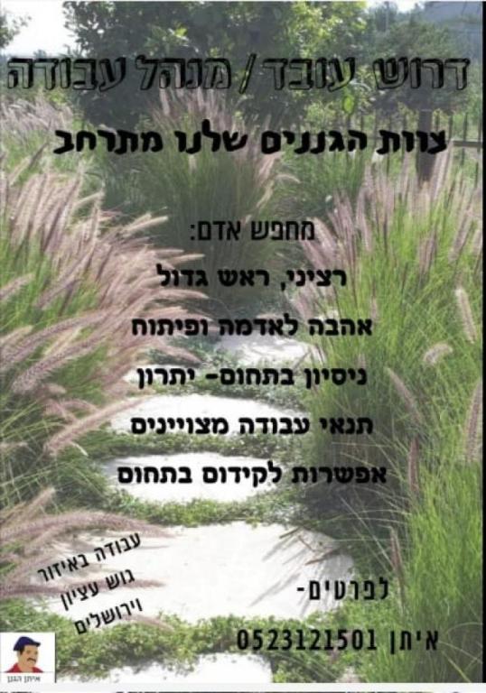 איתן הגנן איתן הגנן