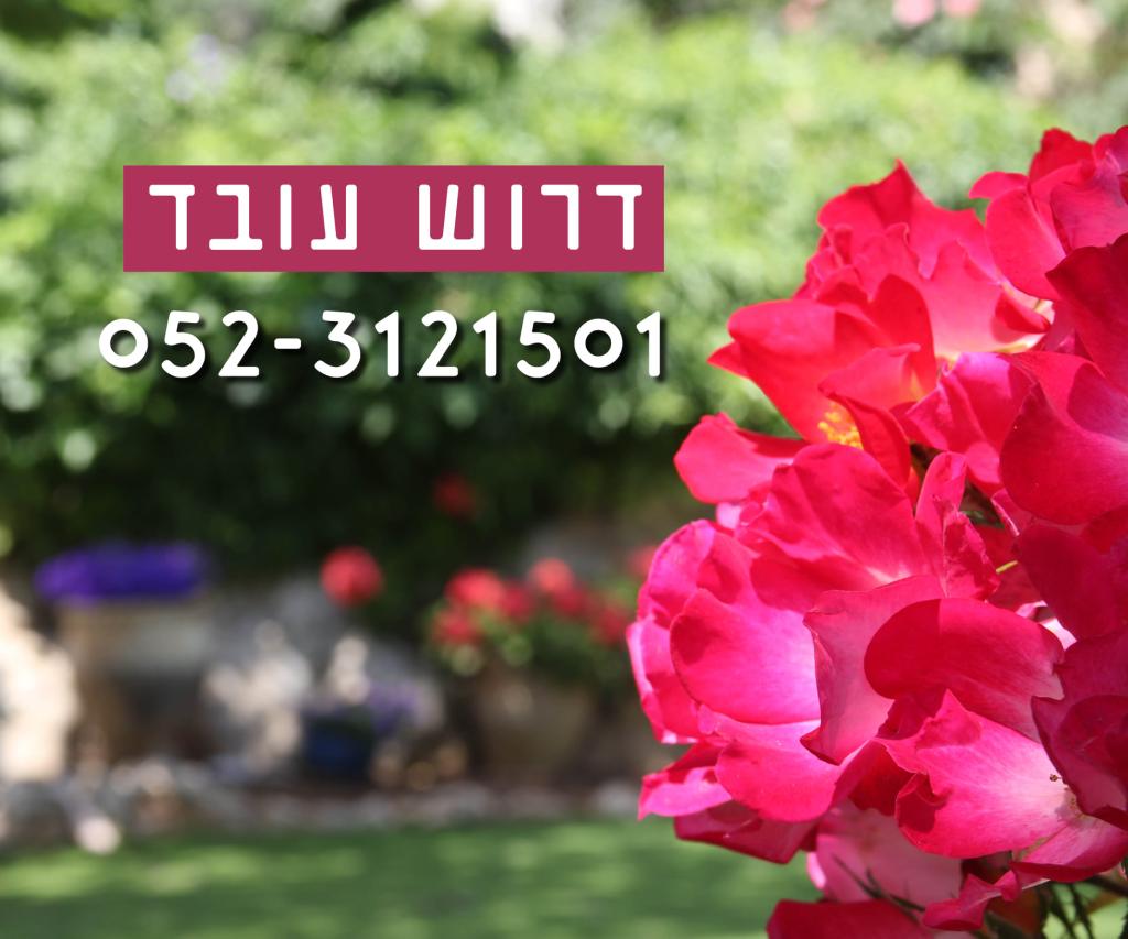 איתן הגנן איתן הגנן