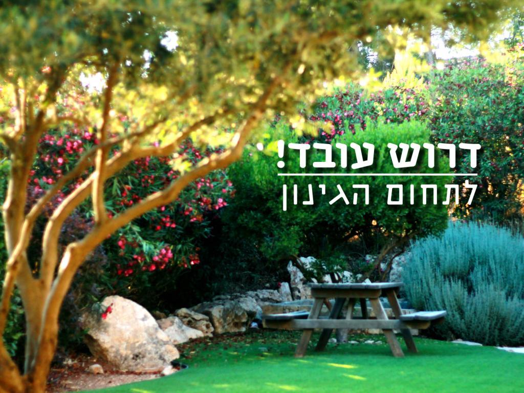 איתן הגנן איתן הגנן