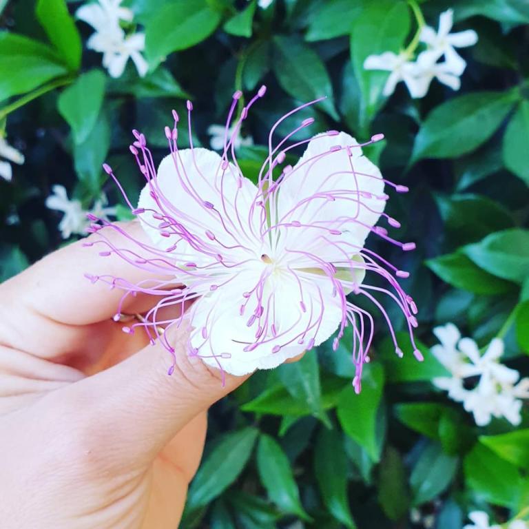 איתן הגנן איתן הגנן