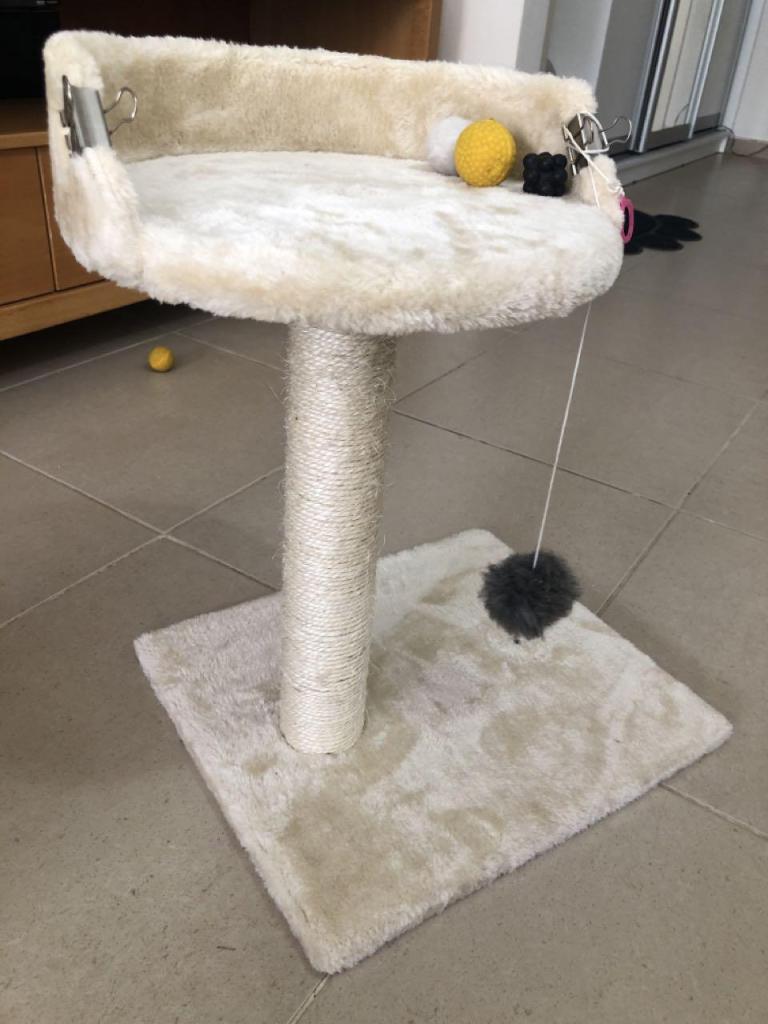 מלך החיות מלך החיות