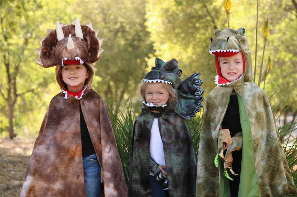 ג'ולות שוסטר ג'ולות שוסטר