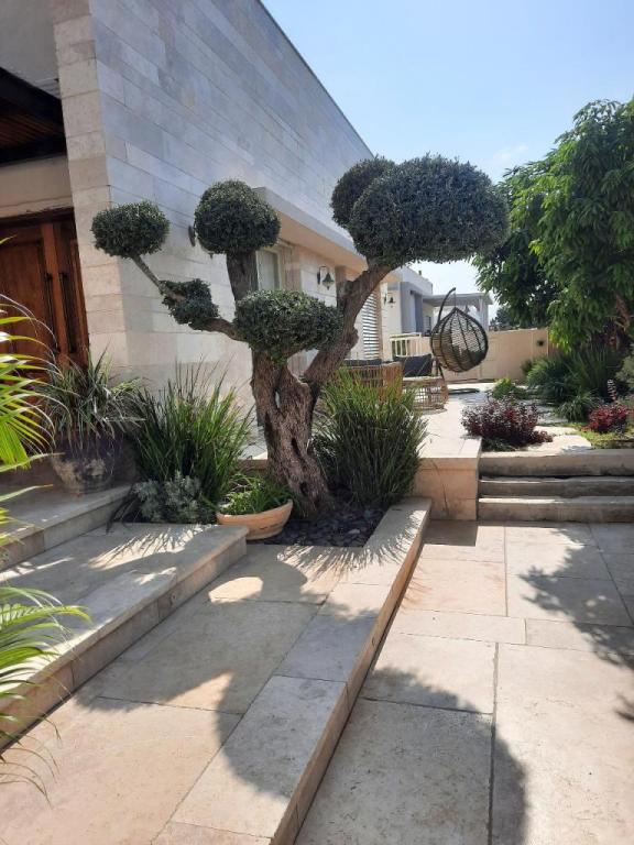 קסם של גינה קסם של גינה