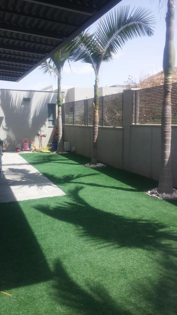 קסם של גינה קסם של גינה