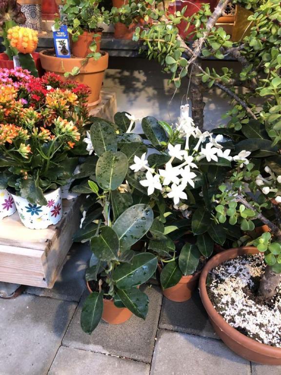 concept store tlv concept store tlv