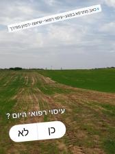 כאב מתרפא במגע