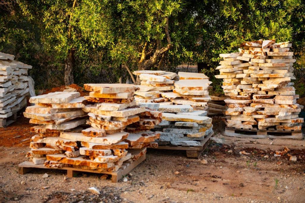 ברק בחצר ברק בחצר