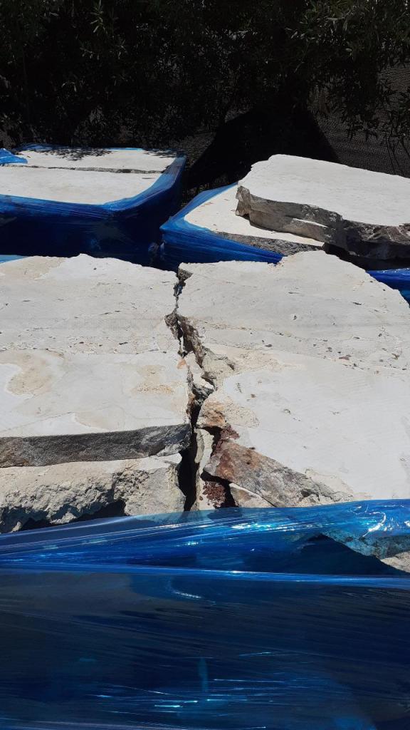 ברק בחצר ברק בחצר