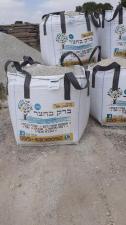 ברק בחצר