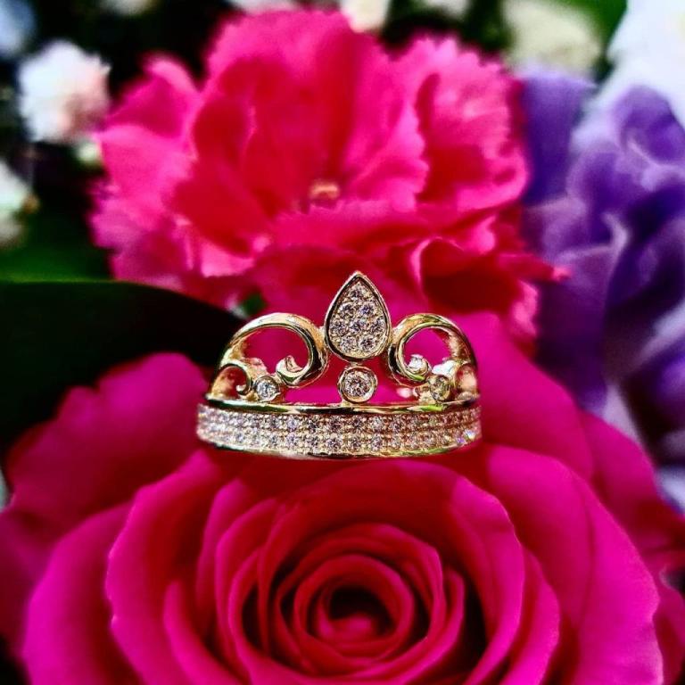 עדי זהב Roi Adi Zahav עדי זהב Roi Adi Zahav