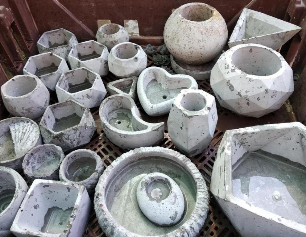 לעוף על המרפסת לעוף על המרפסת