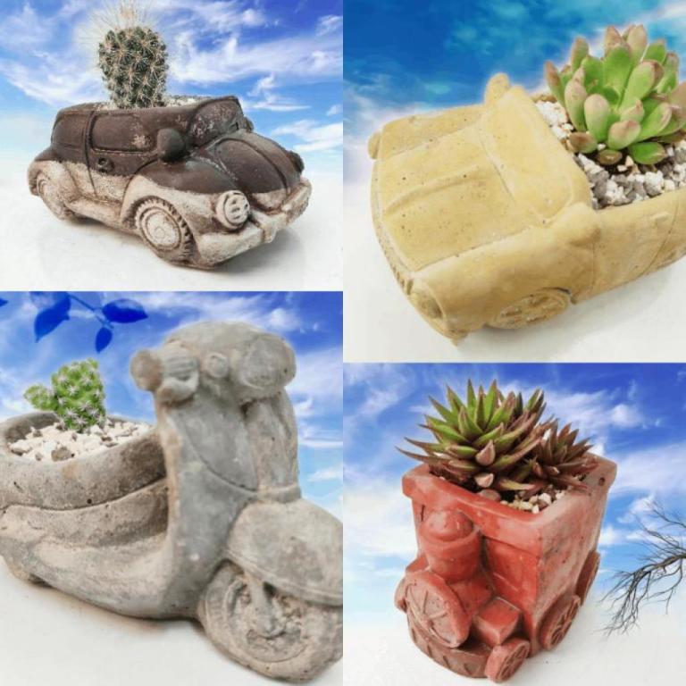 לעוף על המרפסת לעוף על המרפסת