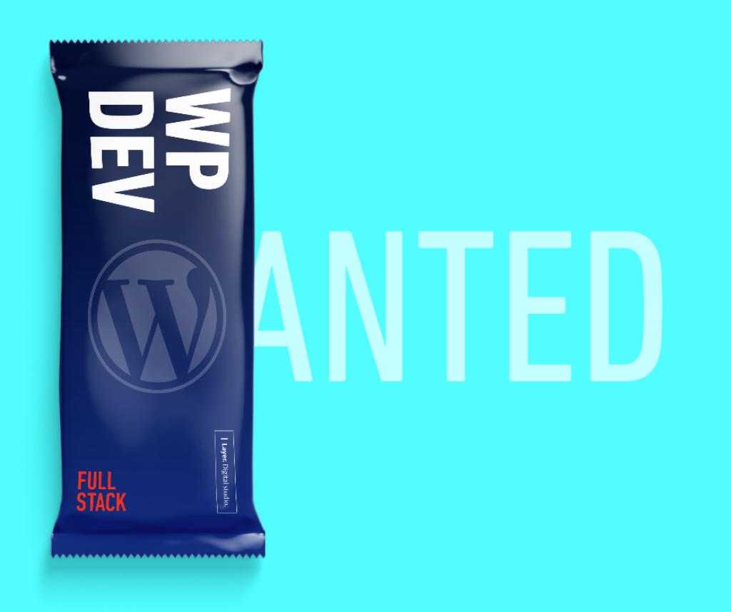 Layer Digital studio Layer Digital studio