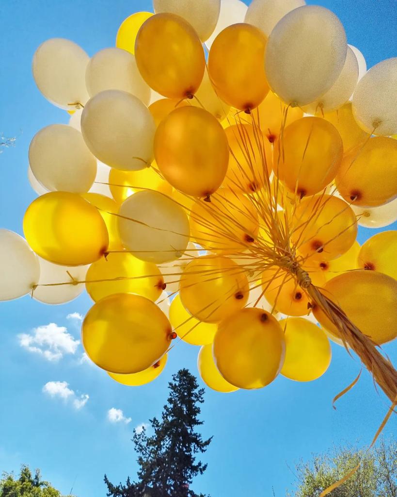 מלך הבלונים מלך הבלונים