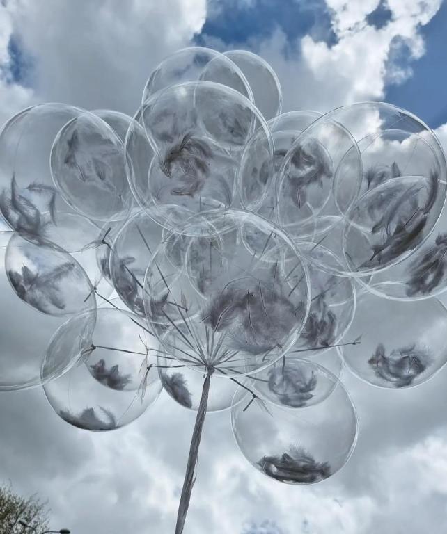 מלך הבלונים מלך הבלונים