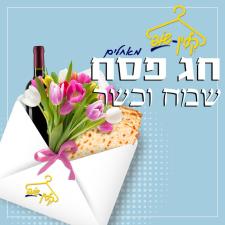 קלין שופ סביון