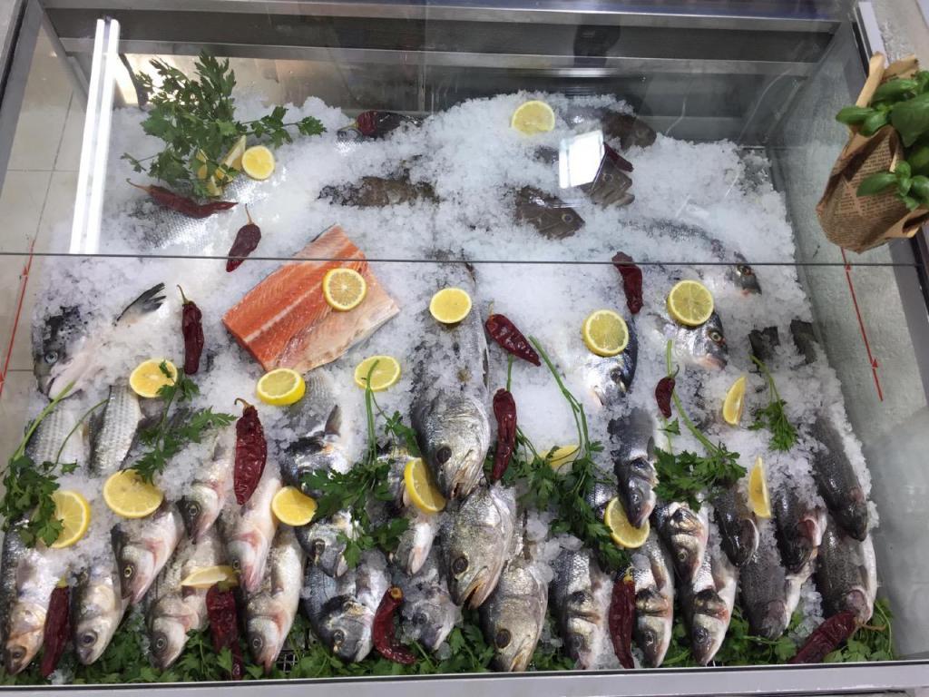 איתן דגים איתן דגים