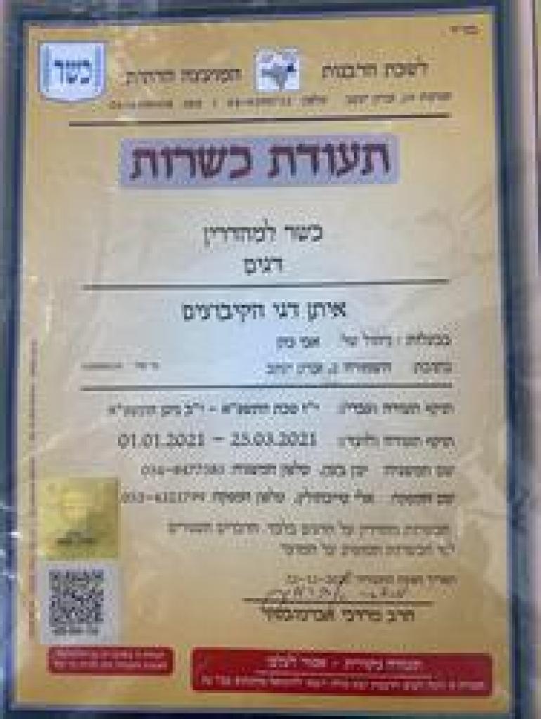 איתן דגים איתן דגים