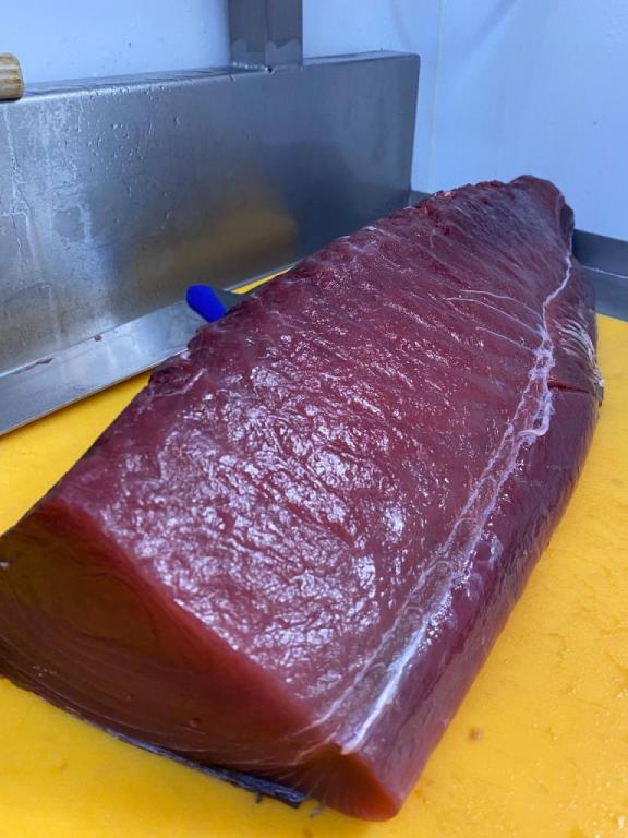 איתן דגים איתן דגים