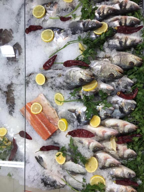 איתן דגים איתן דגים