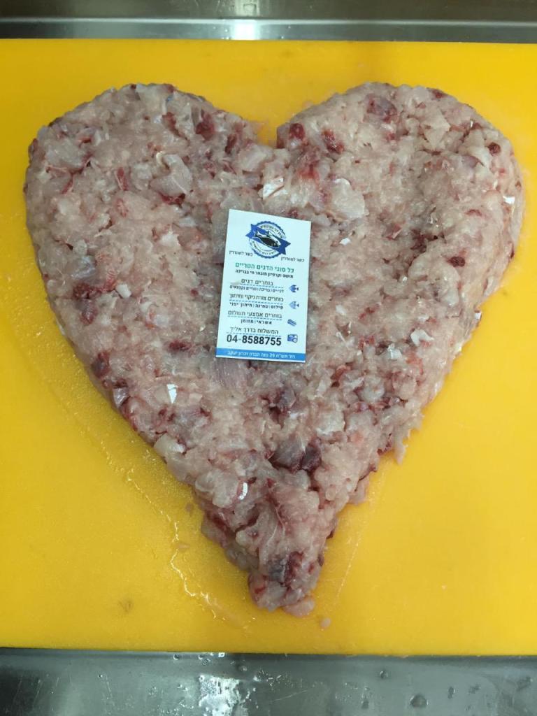 איתן דגים איתן דגים