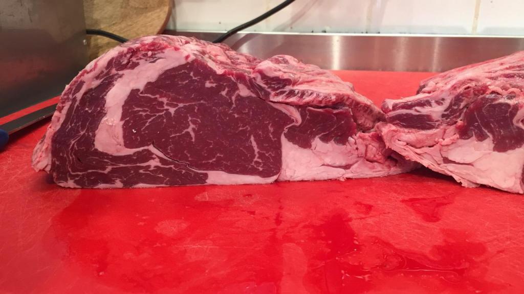 צמד קצבים צמד קצבים