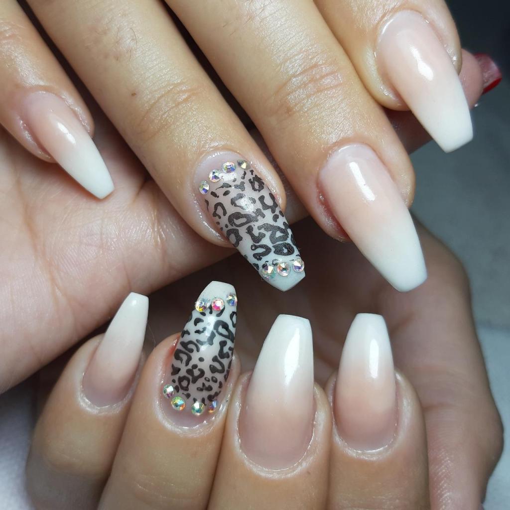 ציפורני גן העדן ציפורני גן העדן