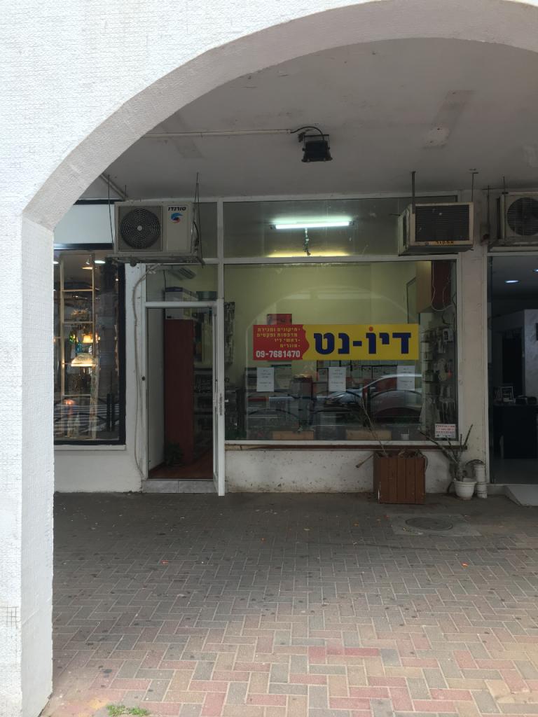 דיו נט דיו נט