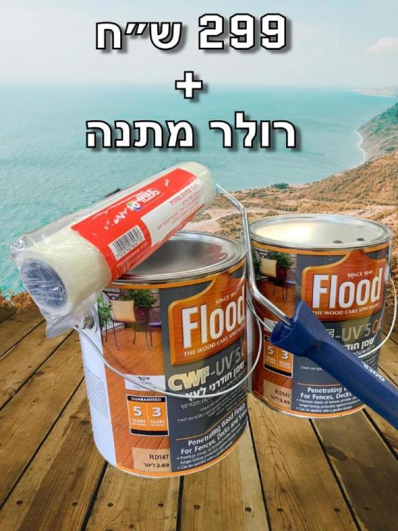 א א מונטיפיורי א א מונטיפיורי