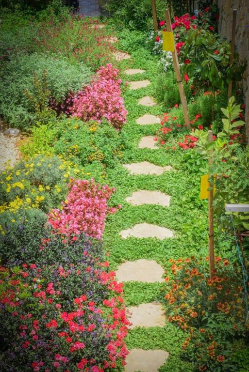 רואים נוף רואים נוף